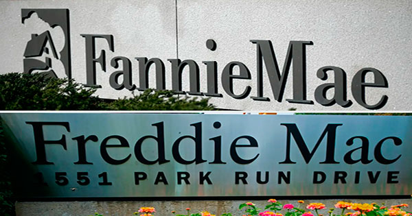 Акции Fannie и Freddie OTC растут, поскольку Трамп готовится вывести компании на биржу