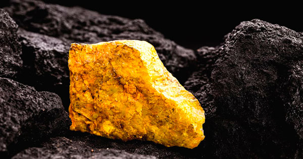 Paladin Energy достигла рекордного уровня добычи урана с момента перезапуска на предприятии Langer Heinrich